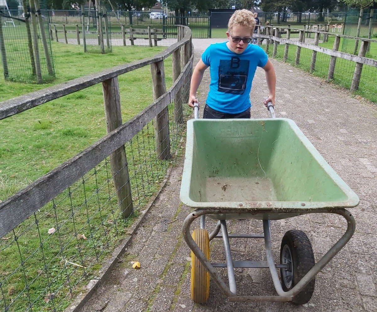 loopbaan oriëntatie: er op uit gaan!