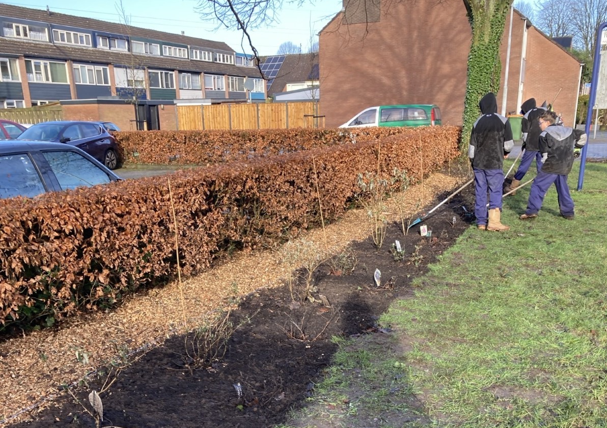 Perkje aanleggen in Ede met leerlingen Groen