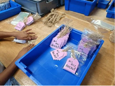 Nieuws vanuit productie